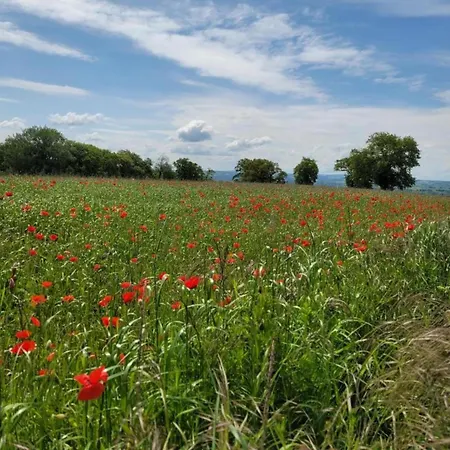 Clos Du Bannet Family Escape Feriehus Givonne