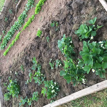 Hébergement de vacances Clos Du Bannet Family Escape *