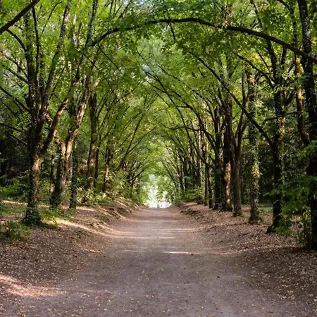 Feriehus Clos Du Bannet Family Escape Givonne