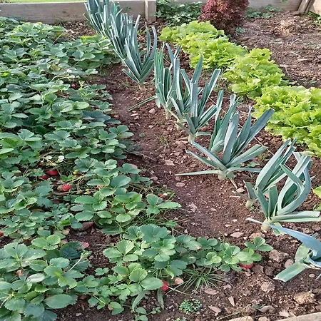 Clos Du Bannet Family Escape * Givonne