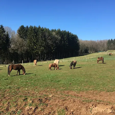 Clos Du Bannet Family Escape Hébergement de vacances Givonne